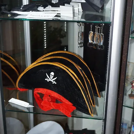 Czarna Perla 招待所 Przejazdowo