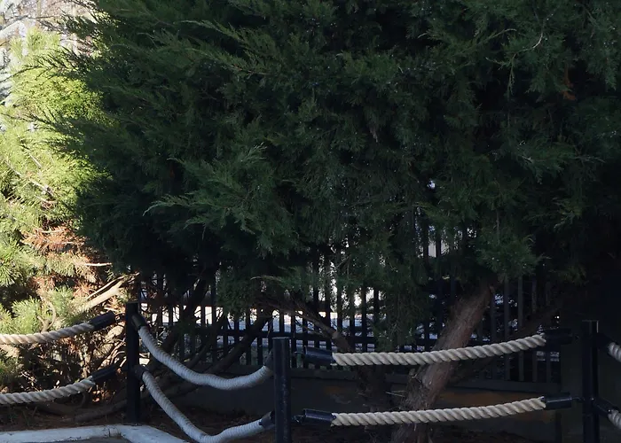 Czarna Perła Pensjonat